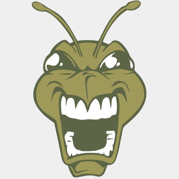 BAW BEE 13 RC Thumbnail