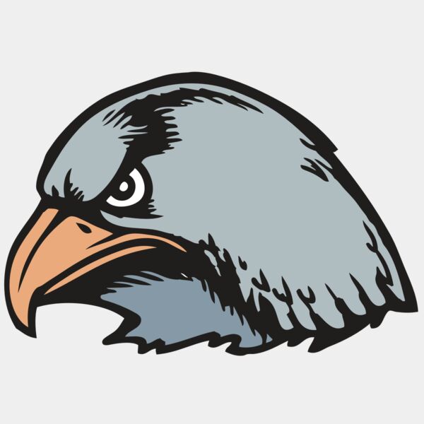 BAW HWK FLCN 03 RC Thumbnail