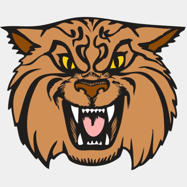 BAW WILDCAT 04 RC Thumbnail