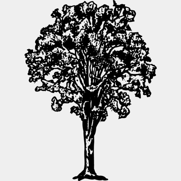 TREE0015 Thumbnail
