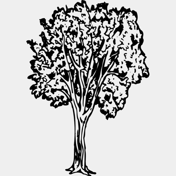 TREE0024 Thumbnail