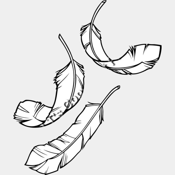 ESfeathers001bw Thumbnail