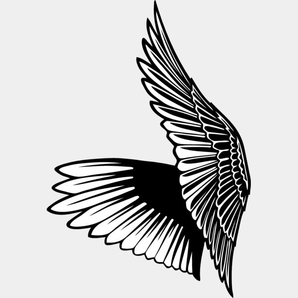 ESwings028bw Thumbnail