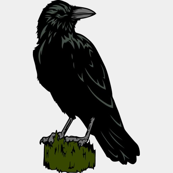 ES2raven003clr Thumbnail