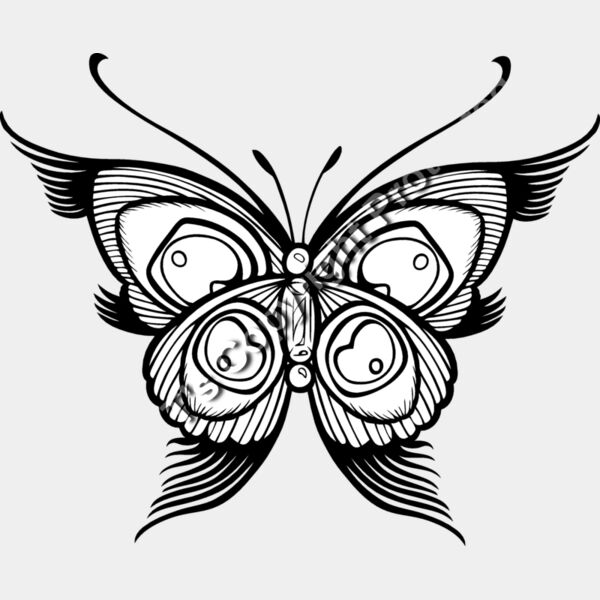 ES2butterfly001bw Thumbnail