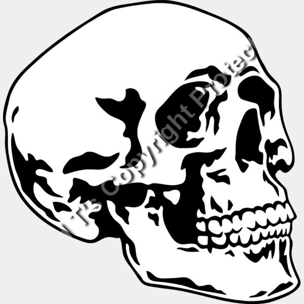 ES2skull016BW Thumbnail