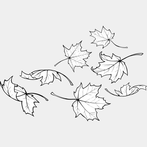 ES2leaves001bw Thumbnail