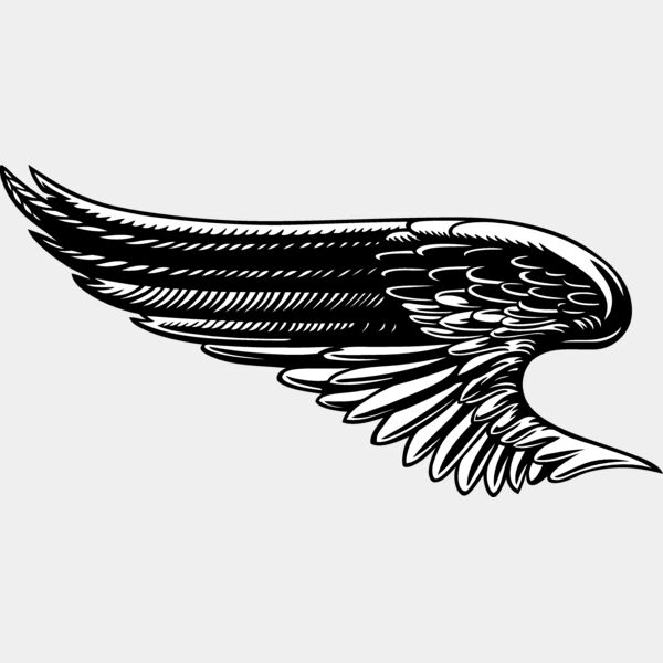 ES2wings027bw Thumbnail