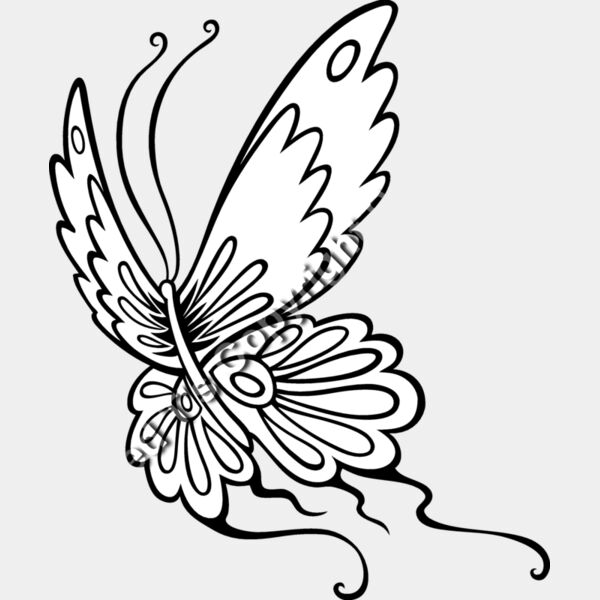 ES2butterfly006bw Thumbnail