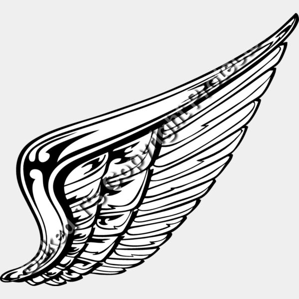 ES2wings008BW Thumbnail