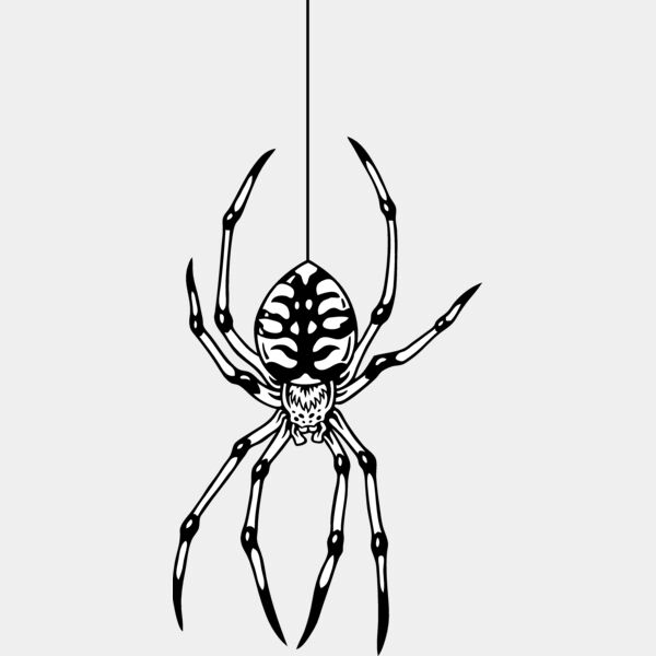 ES2spider003BW Thumbnail