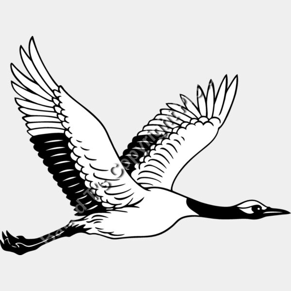 ES2crane001BW Thumbnail