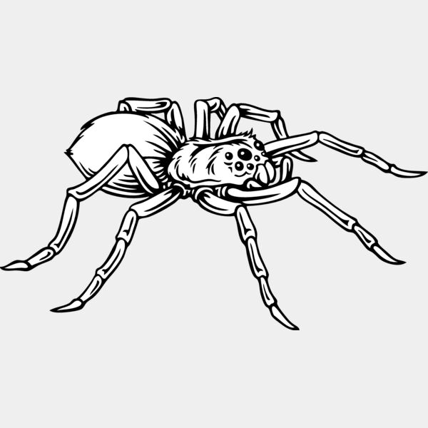 ES2spider001BW Thumbnail