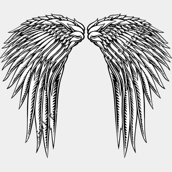 ES2wings014bw Thumbnail