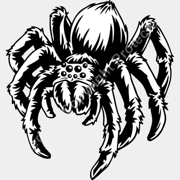 ES2spider005BW Thumbnail
