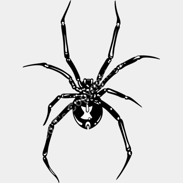 ES2spider002bw Thumbnail