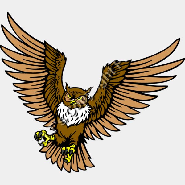 ES2owl001CLR Thumbnail