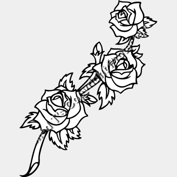 ES2rose004BW Thumbnail