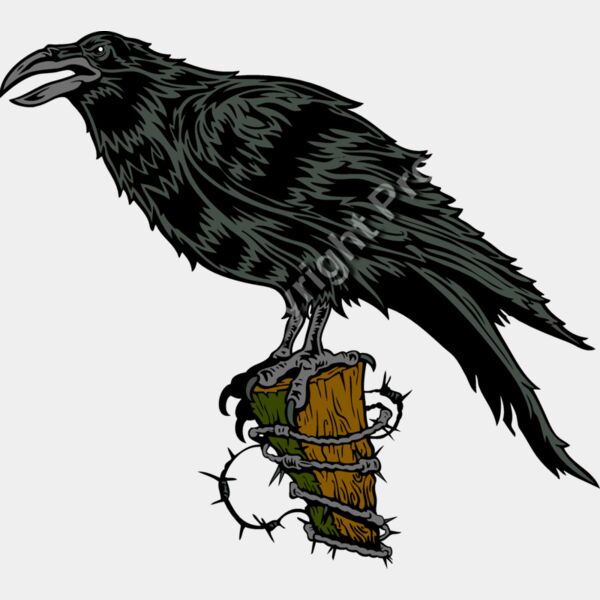 ES2raven001clr Thumbnail