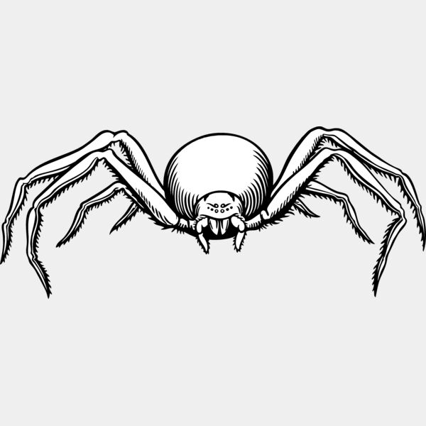 ES2spider007bw Thumbnail