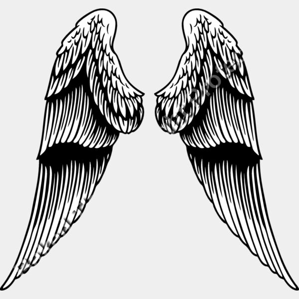 ES2wings031BW Thumbnail