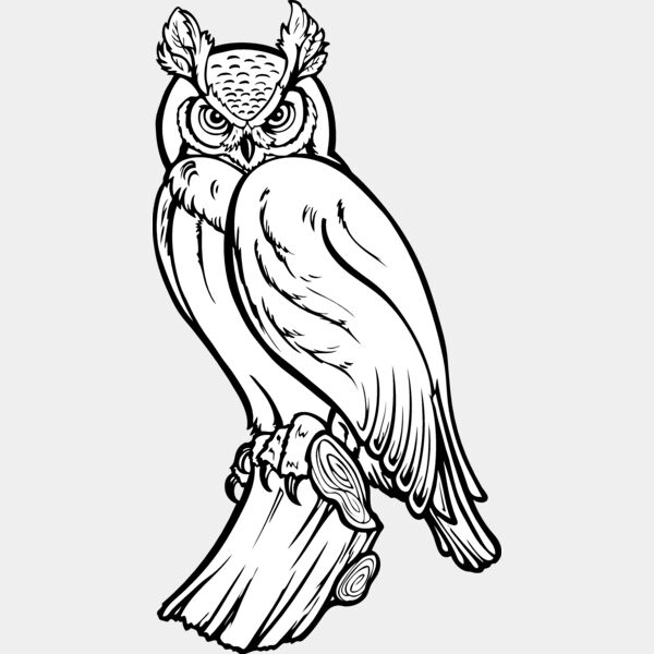 ES2owl002bw Thumbnail