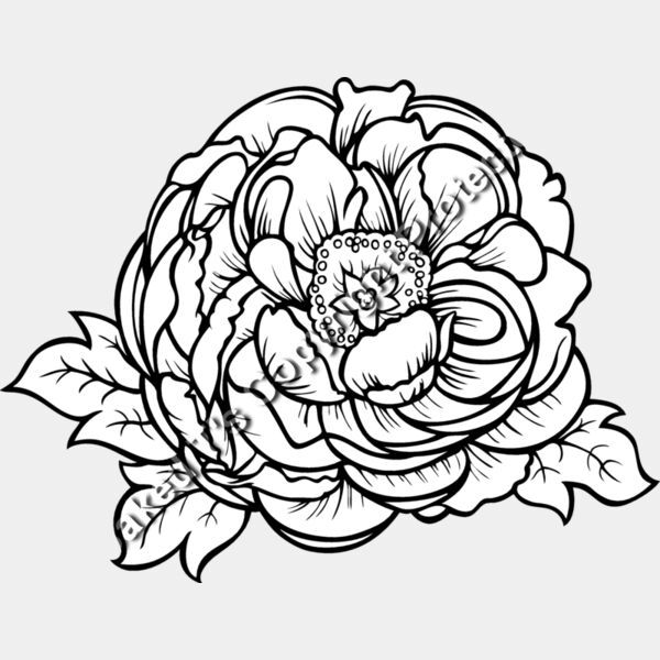 ES2flower002bw Thumbnail