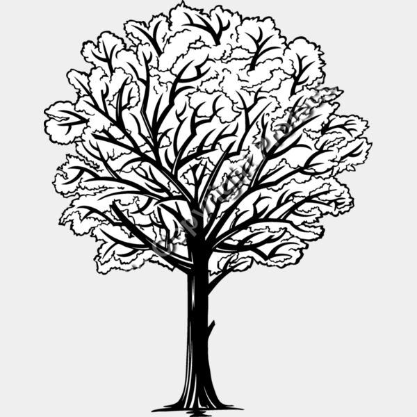 ES2tree005bw Thumbnail