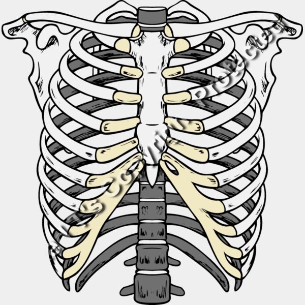 ES2bones003clr Thumbnail