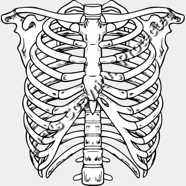 ES2bones003bw Thumbnail
