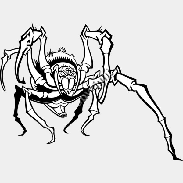 ES3spider05BW Thumbnail