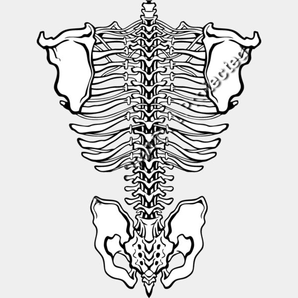 ES3bones01BW Thumbnail