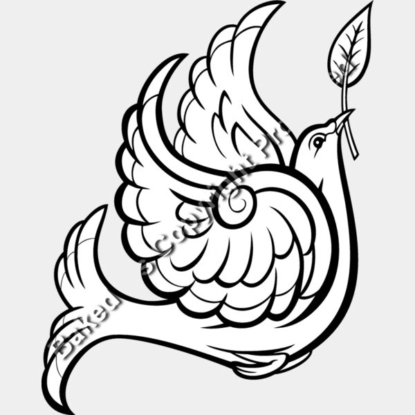 ES3dove02BW Thumbnail