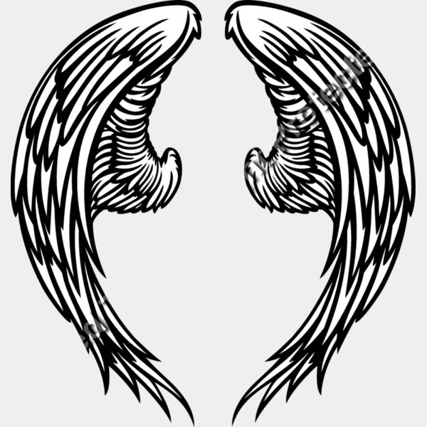 ES3wing06bw Thumbnail