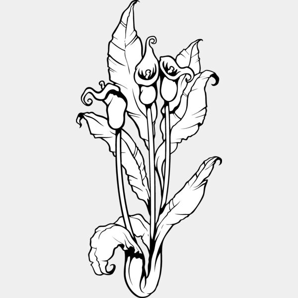 ES3flower07bw Thumbnail