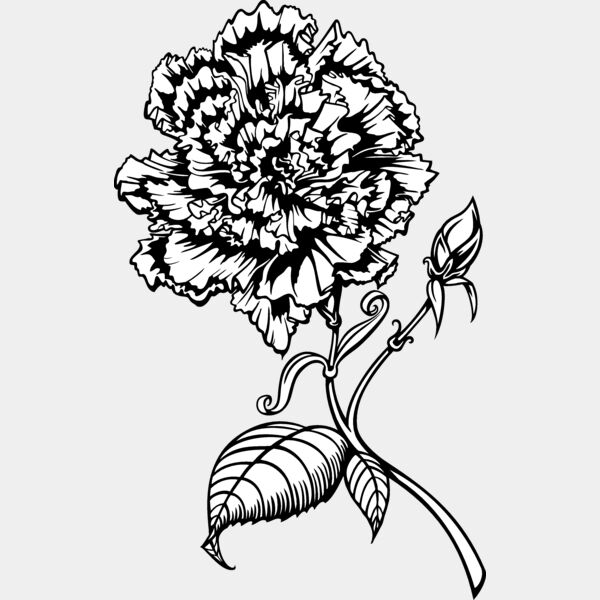 ES3flower01bw Thumbnail