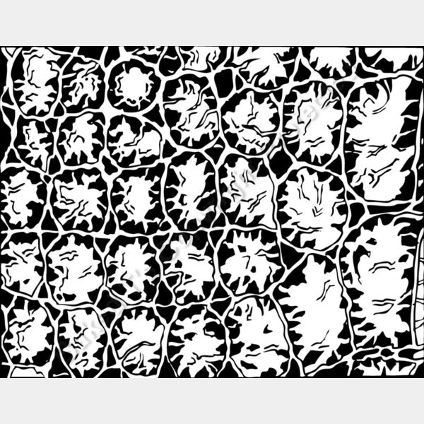 ES3texture06BW Thumbnail