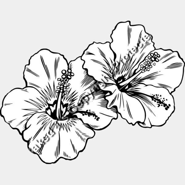 ES3tropical02bw Thumbnail