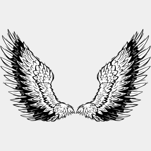 ES3wing10BW Thumbnail