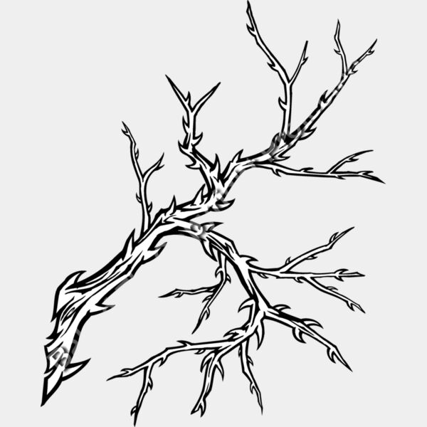 ES3thorns01bw Thumbnail