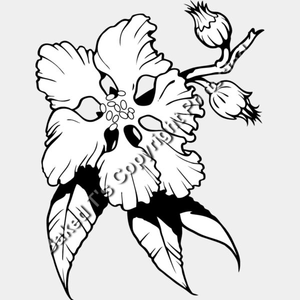 ES3flower11bw Thumbnail