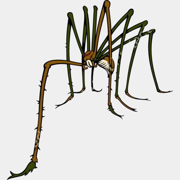 ES3spider02clr Thumbnail