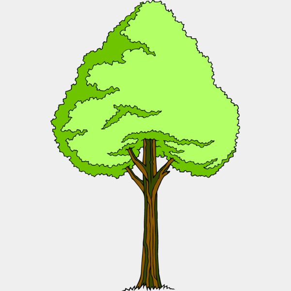 es3tree11clr Thumbnail