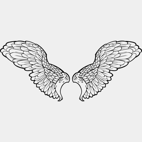 ES3wing11clr Thumbnail