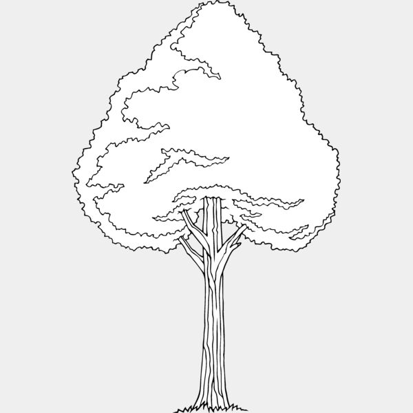 es3tree11bw Thumbnail