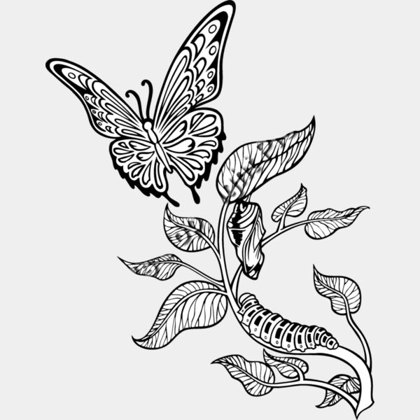 ES3butterfly05bw Thumbnail