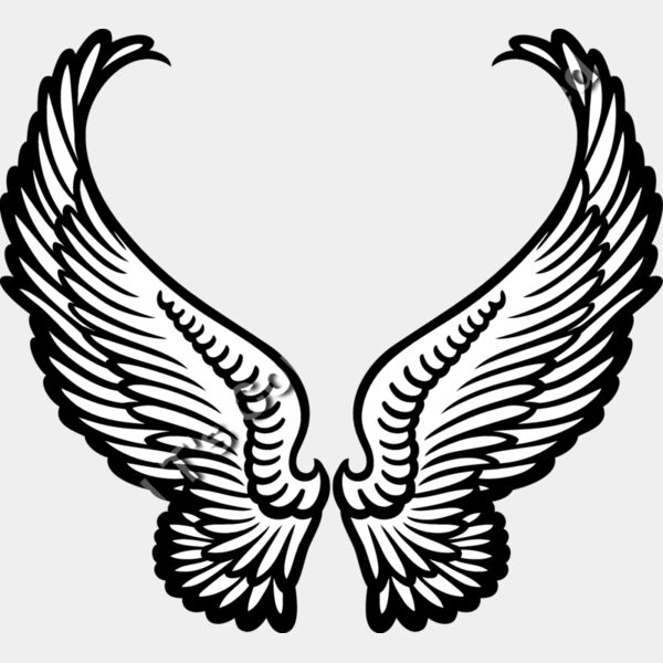 ES3wing07bw Thumbnail