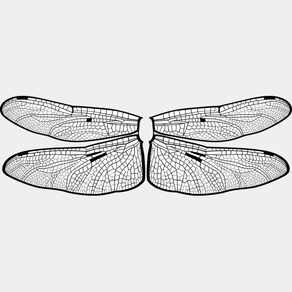 ES3wing14bw Thumbnail