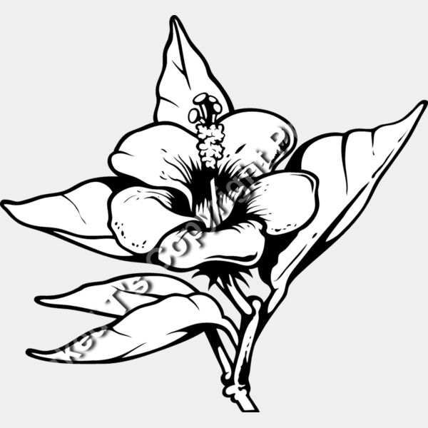 ES3tropical01bw Thumbnail