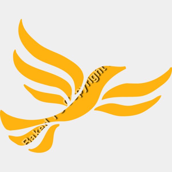 LiberalDem Thumbnail